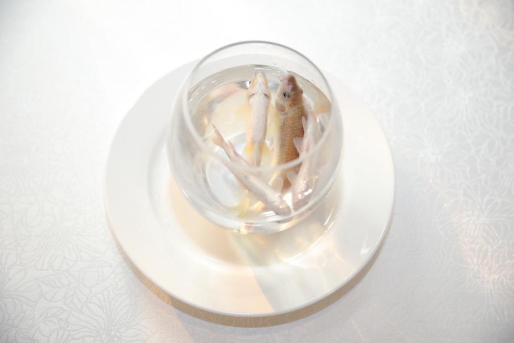 1577955861625484.jpg 1577955861625484.jpg